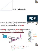 CH10 DNA To Protein & Human Genetics and Genome Analysis