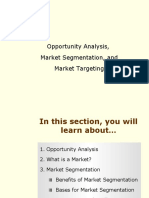 Opportunity Analysis, Market Segmentation, and Market Targeting