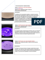 Resultados y Observaciones