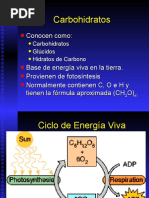 Clase05 - Carbohidratos