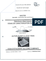 Tp Essai Caracterisation Bap Par Etalement Au Cone d'Abrams