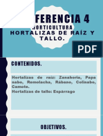 Conferencia 4, Hortalizas Raiz y Tallo.