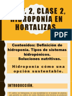 Conferencia 2, Clase 2, Hidroponia en Hortalizas.