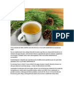 TÉ DE AGUJAS DE PINO CONTRA LOS EFECTOS DE LA VA