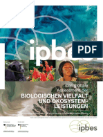 2021 IPBES GlobalAss Deutsch