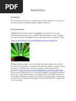 55711857-Relatorio-cartaz (1)