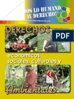 Derechos Económicos, Sociales, Culturales y Del Medio Ambiente