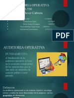 Auditoria Operativa