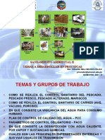 Temas Saneamiento Ambiental II