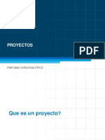 Proyectos PMI 2021