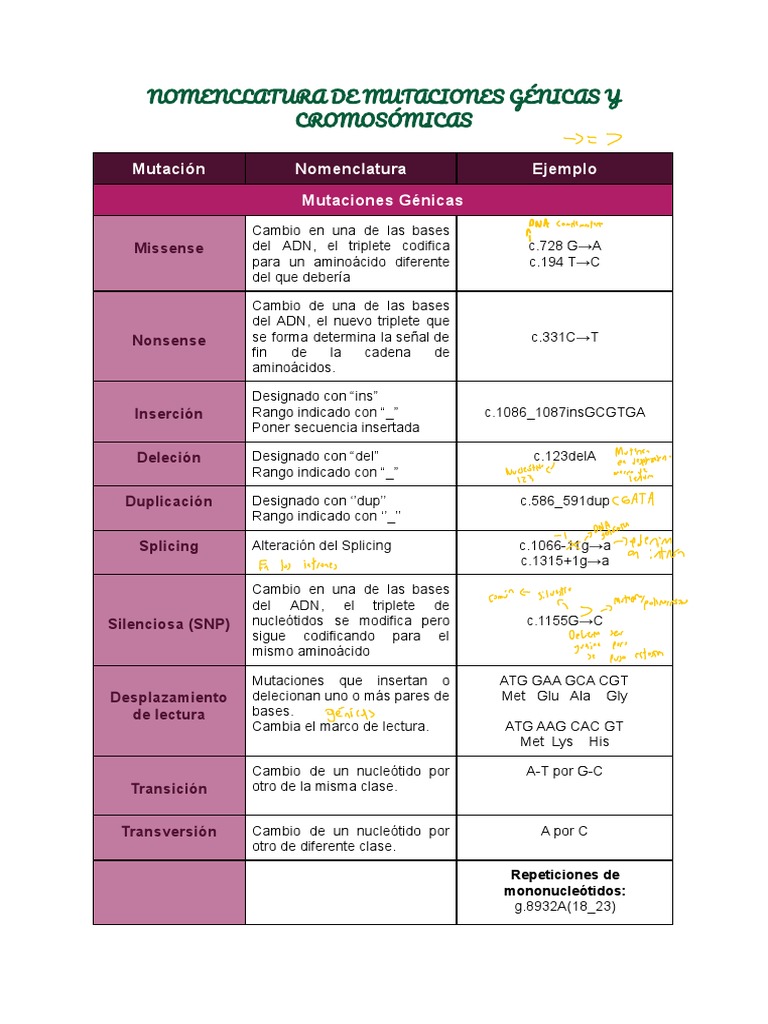 Nomenclatura de Mutaciones Genéticas | PDF | Mutación | Cromosoma