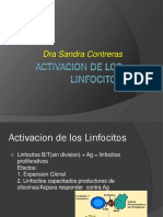 Activacion de Los Linfocitos Clase II