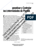 Cómo Diagnosticar y Controlar Las Enfermedades de Plantas: OF Date