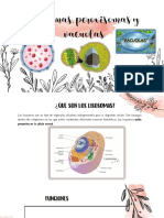 s14 Lisosomas, Peroxisomas, y Vacuolas