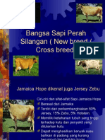 SILANGAN SAPI PERAH