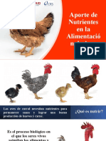 Aporte de Nutrientes en La Alimentación de Aves