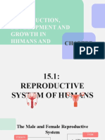 Chapter 15 Sexual Reproduction, Development and Growth in Humans