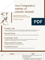 Gross Comparative Anatomy of Domestic Animals