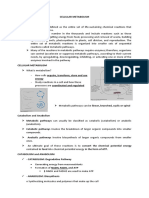 Cellular Metabolism Overview of Metabolism