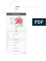 Pulmonary Alveolus