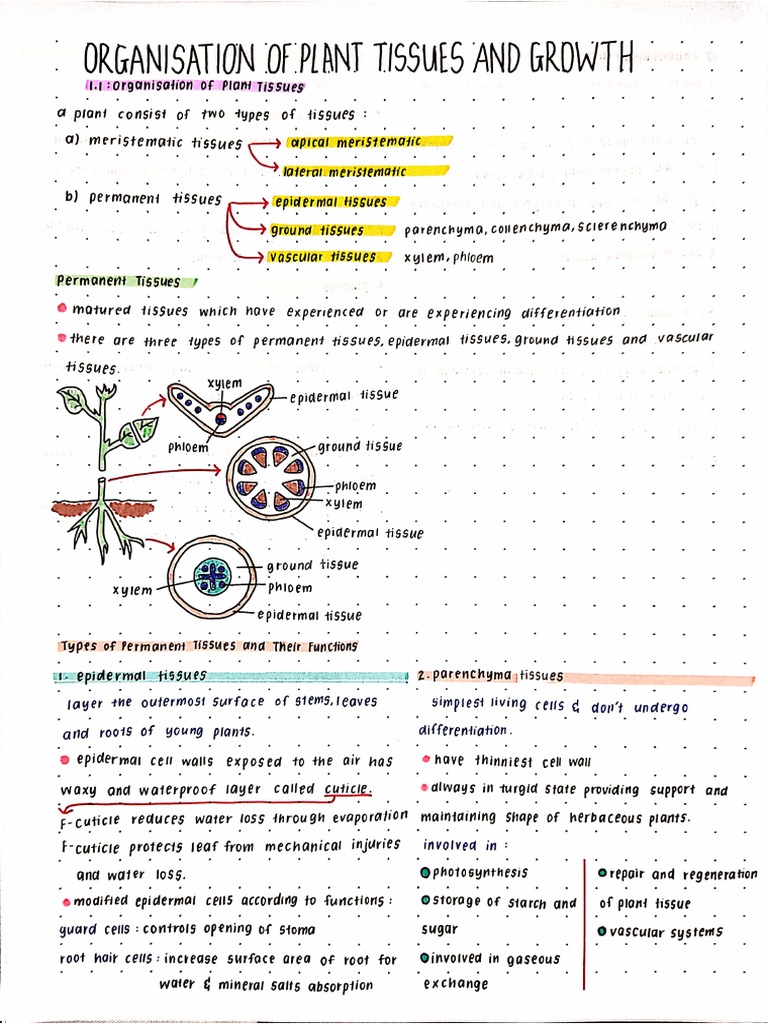 Bio Form 5 Chapter 1 | PDF