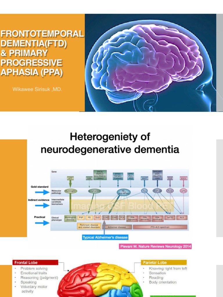 Frontotemporal Dementia Overview | PDF | Neuroscience | Cognition
