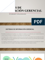 Sistemas de Información Gerencial