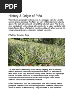 History and Origin of Piña