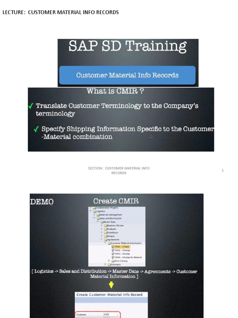 Customer Material Info Records | PDF