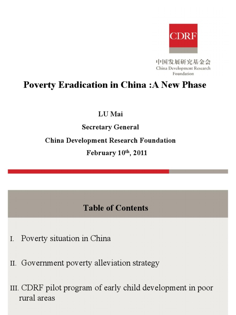 China's Poverty Eradication Strategies | PDF | Poverty Reduction | Poverty
