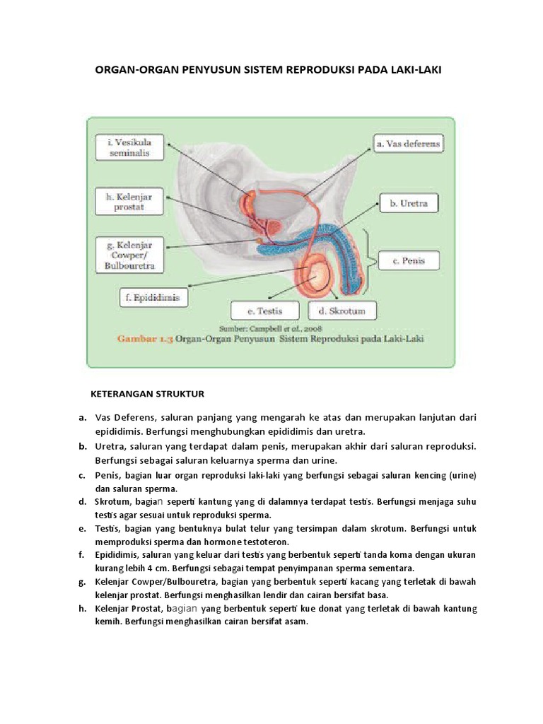 Yangi tsenzurasiz hentai