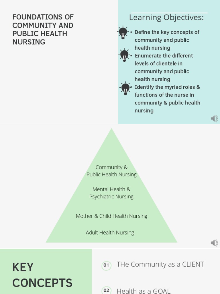 Foundations of Community Health Nursing | PDF