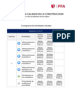 Cronograma de Actividades - 4 Sem