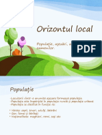 Orizontul Local