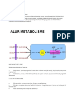 Apa Itu Metabolisme