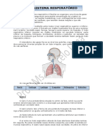 Apostila Sistema Respiratório