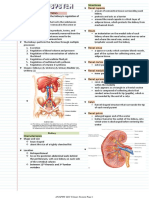 ANAPHY LEC Urinary System Page 1: TH RD