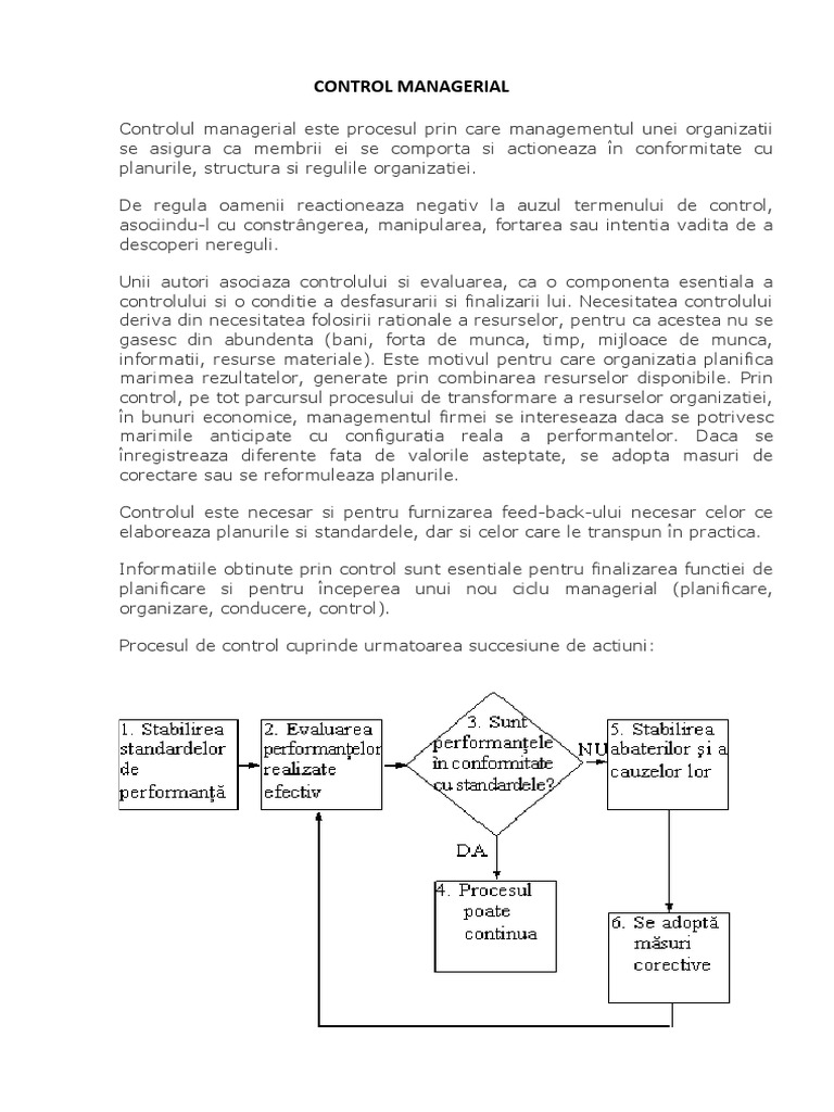 Control Managerial | PDF