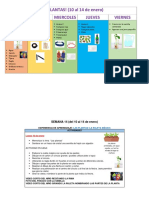 Semana 14 Las Plantas