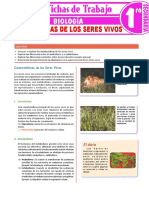 Caracteristicas de Los Seres Vivos para Primer Grado de Secundaria