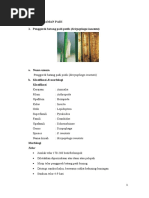 Download hama padi by Muvie Delviza Fadillah SN56154086 doc pdf