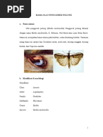 Download tugas Hama kedelai  by Muvie Delviza Fadillah SN56154125 doc pdf
