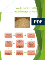 Preparación de Medios Cultivos Naturales (Agar Arroz)