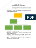 Actividad Colaborativa SCII. Fase Pre analítica