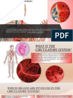 Studiul.2.Circulatory System