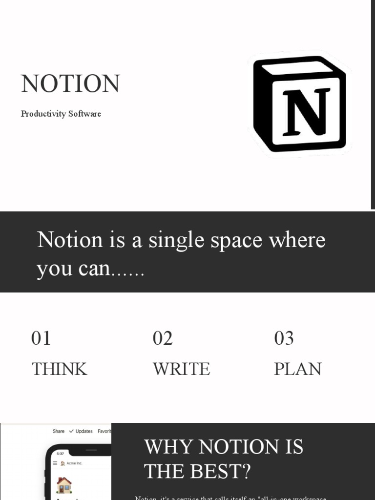 NOTION PRODUCTIVITY SOFTWARE visual data 3
