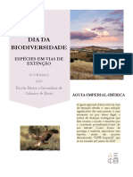 Dia Da Biodiversidade (Águia)