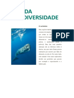 Dia da biodiversidade (cachalote)