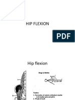 Hip Flexion