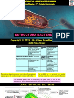 Estruct - Bacter-Clase 2-21